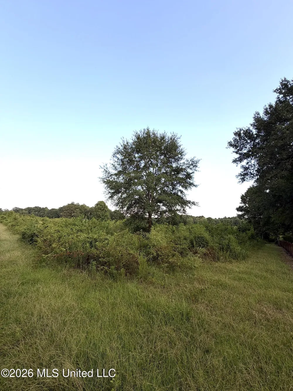 SW Jordan Drive Smithdale, MS 39664