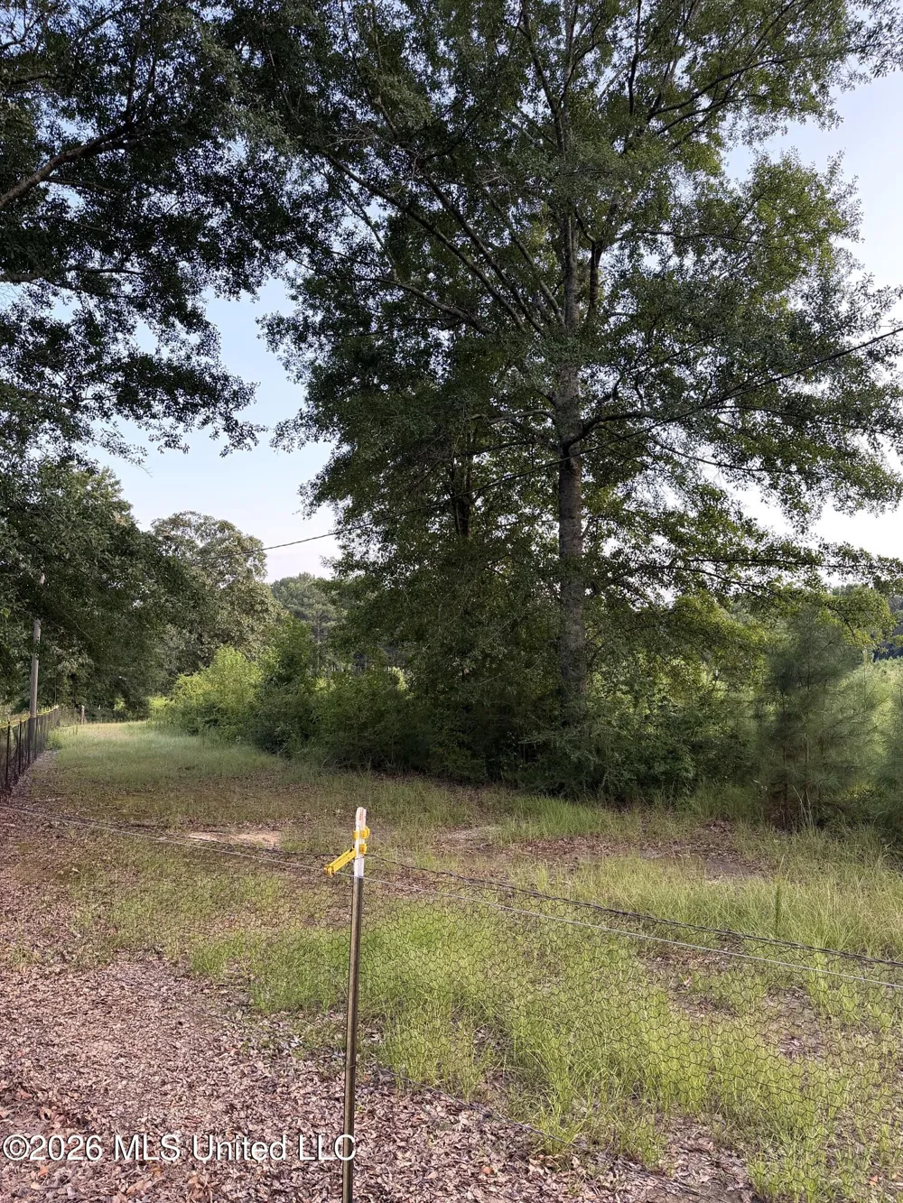 SW Jordan Drive Smithdale, MS 39664
