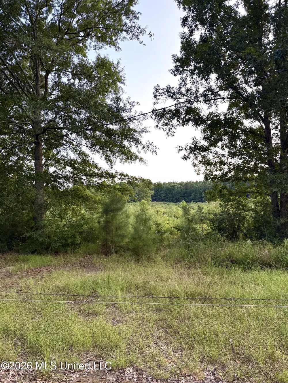 SW Jordan Drive Smithdale, MS 39664