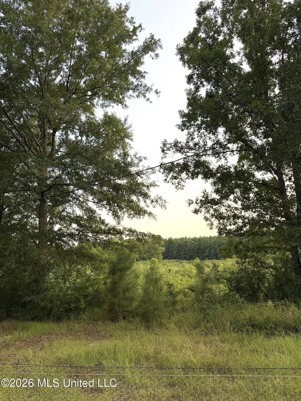 SW Jordan Drive Smithdale, MS 39664