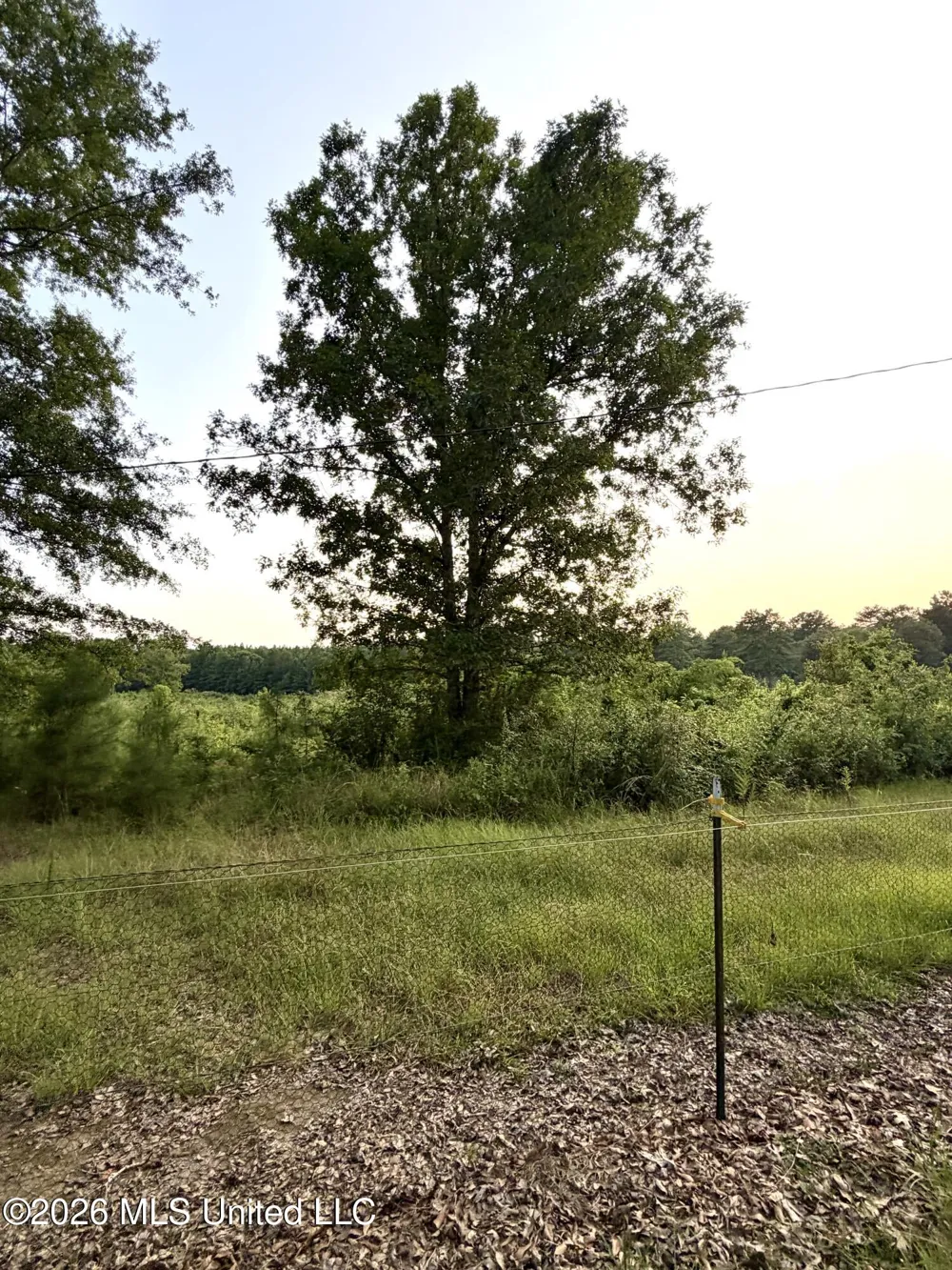 SW Jordan Drive Smithdale, MS 39664