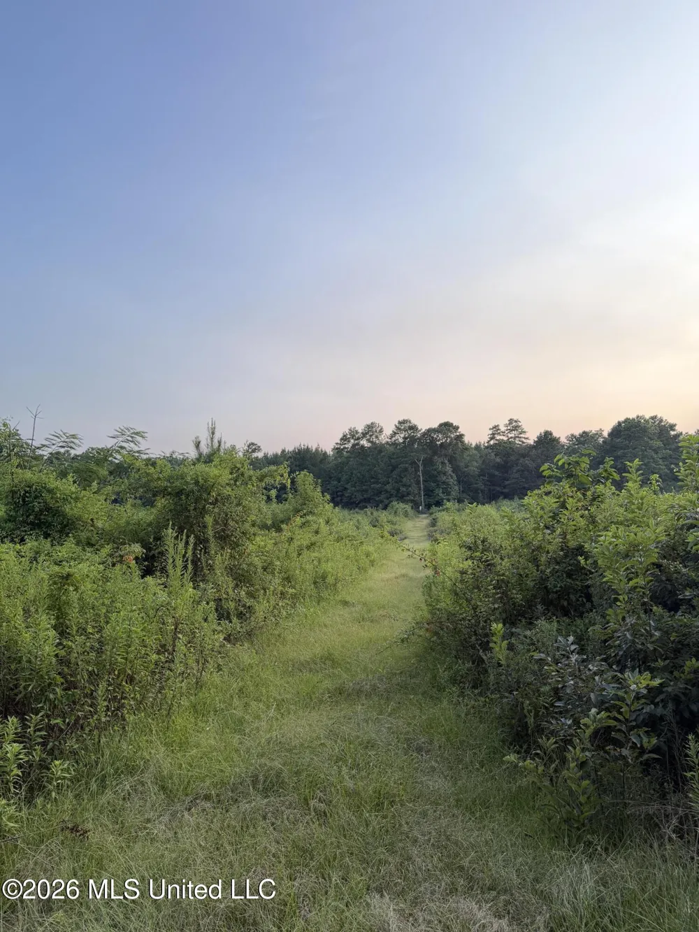 SW Jordan Drive Smithdale, MS 39664