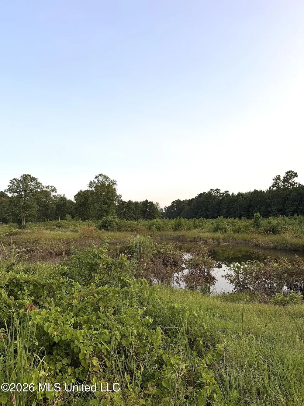 SW Jordan Drive Smithdale, MS 39664