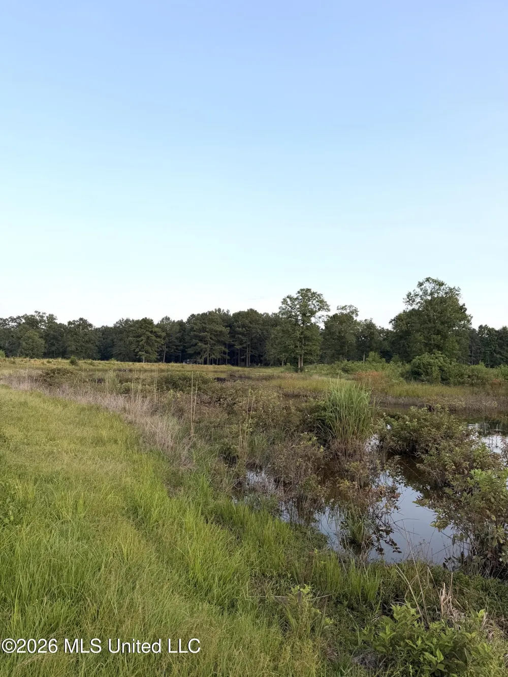SW Jordan Drive Smithdale, MS 39664