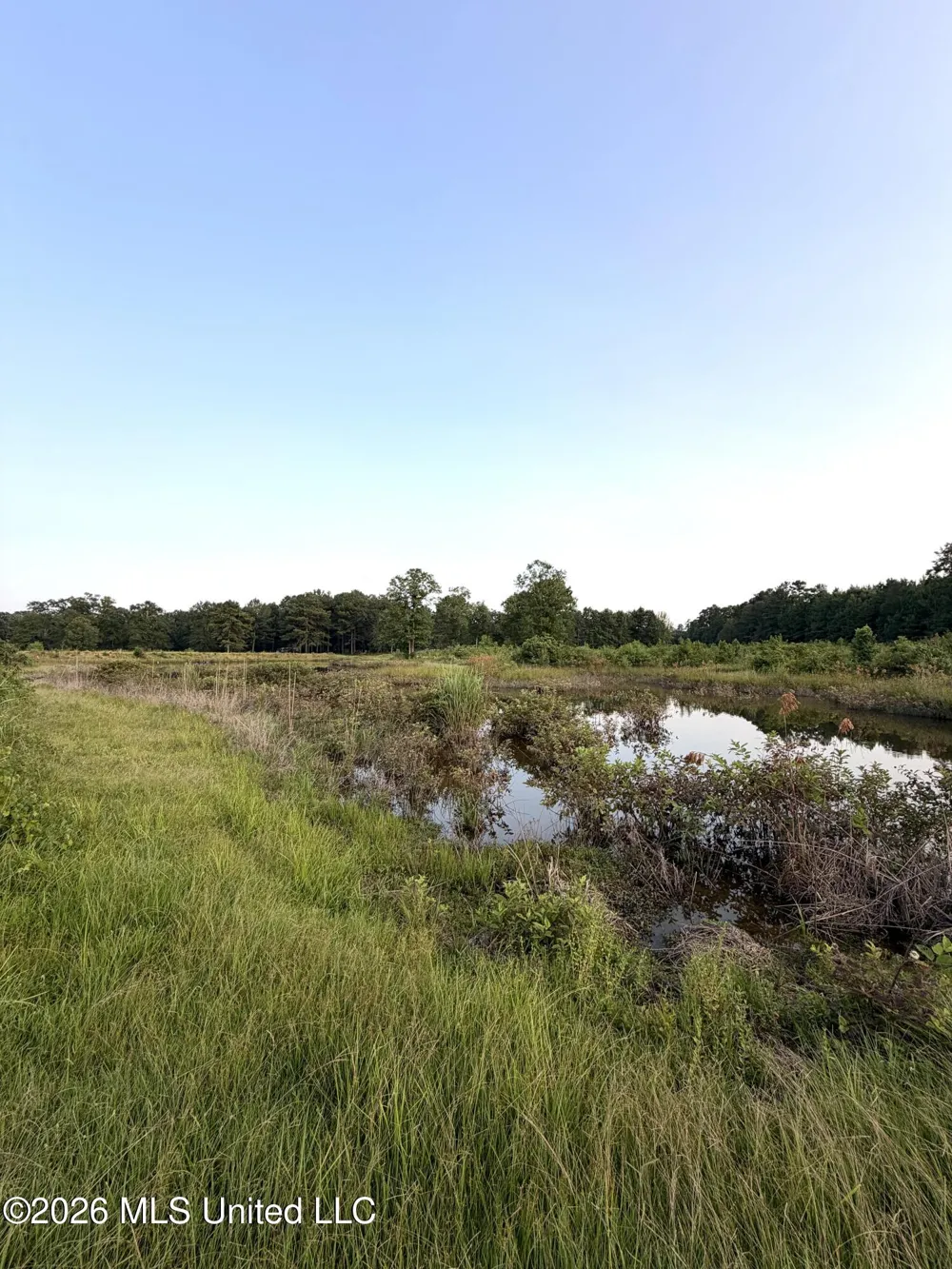 SW Jordan Drive Smithdale, MS 39664