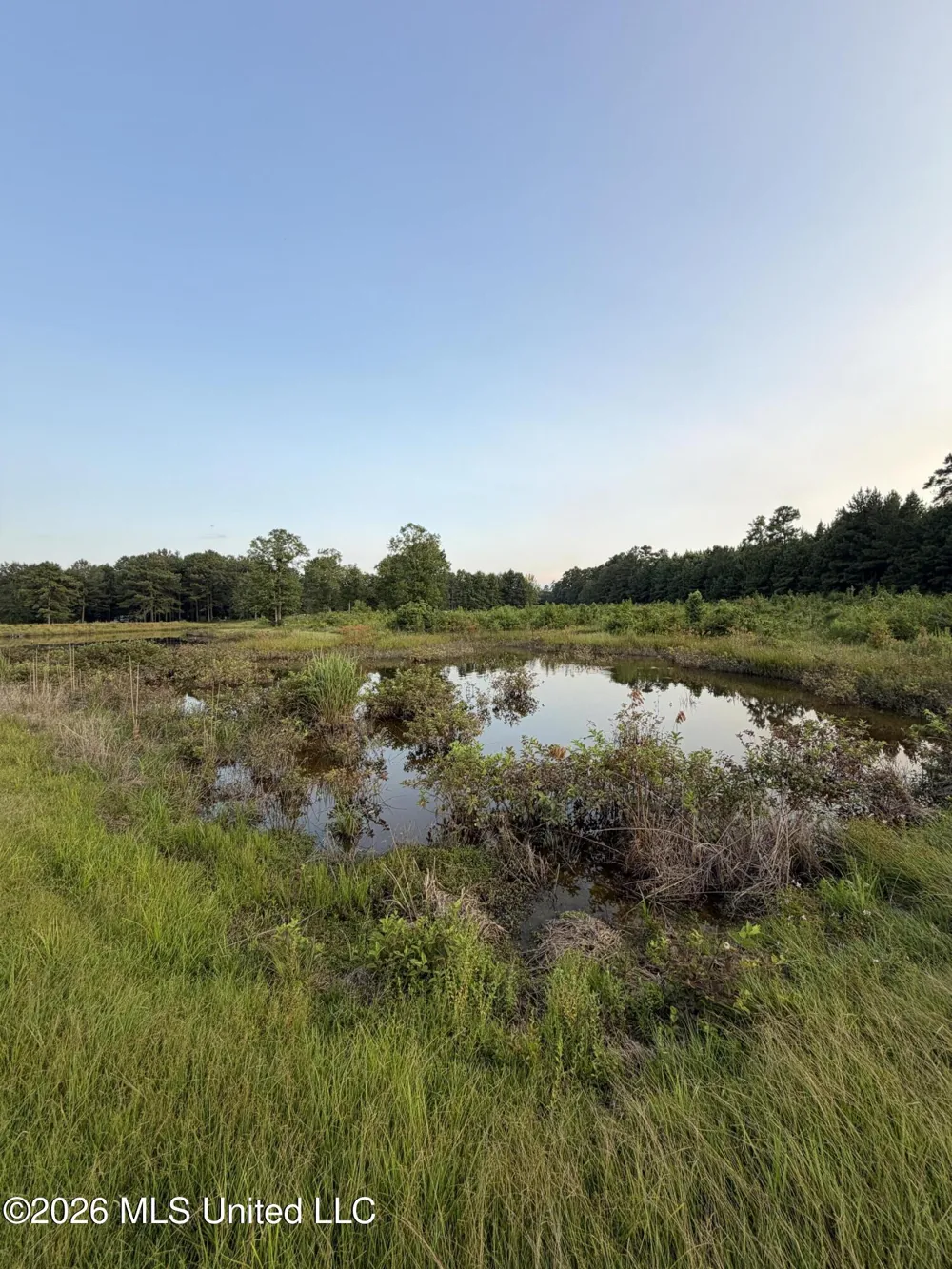 SW Jordan Drive Smithdale, MS 39664
