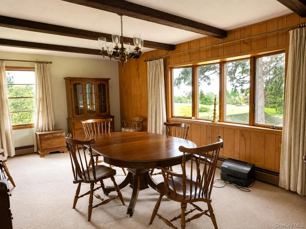 51 Shandelee Lake Road Livingston Manor, NY 12758