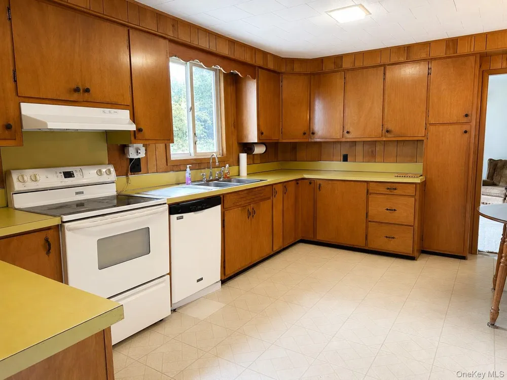 51 Shandelee Lake Road Livingston Manor, NY 12758