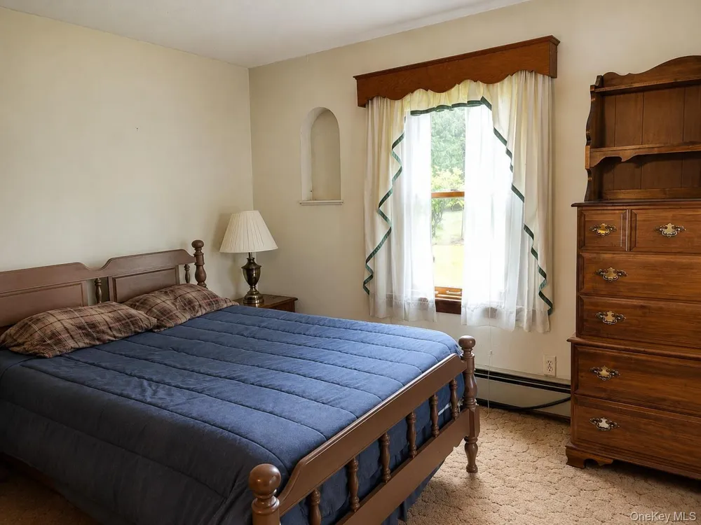51 Shandelee Lake Road Livingston Manor, NY 12758