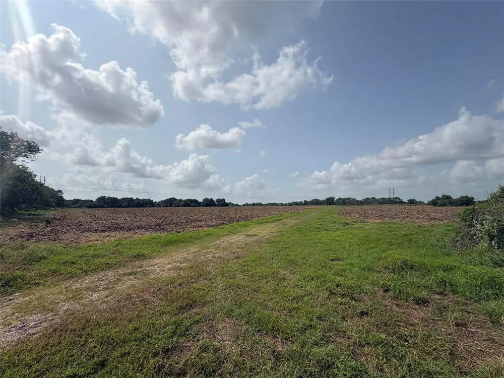 County Road 226 Ganado, TX 77962