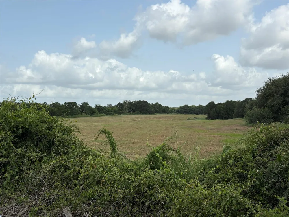 County Road 226 Ganado, TX 77962