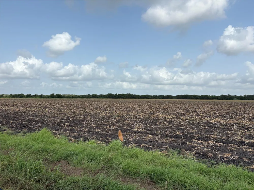 County Road 226 Ganado, TX 77962