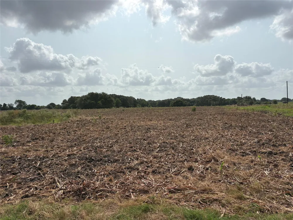County Road 226 Ganado, TX 77962