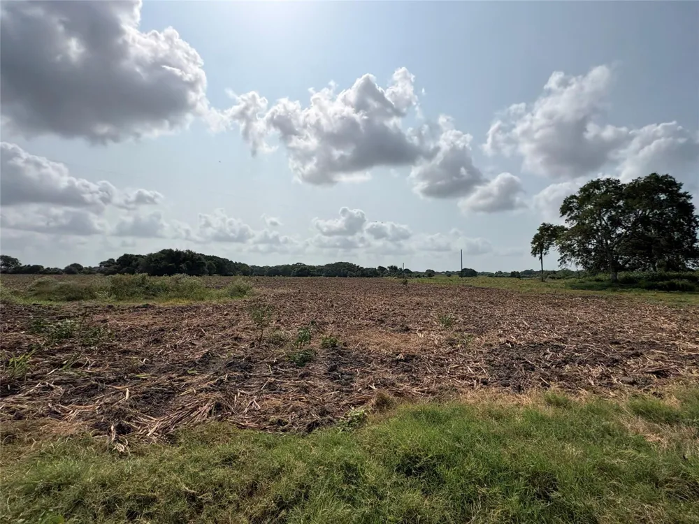 County Road 226 Ganado, TX 77962