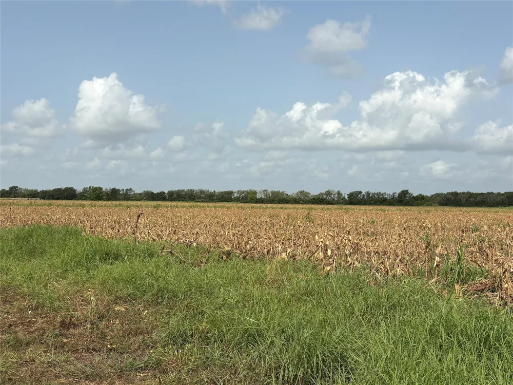 County Road 226 Ganado, TX 77962