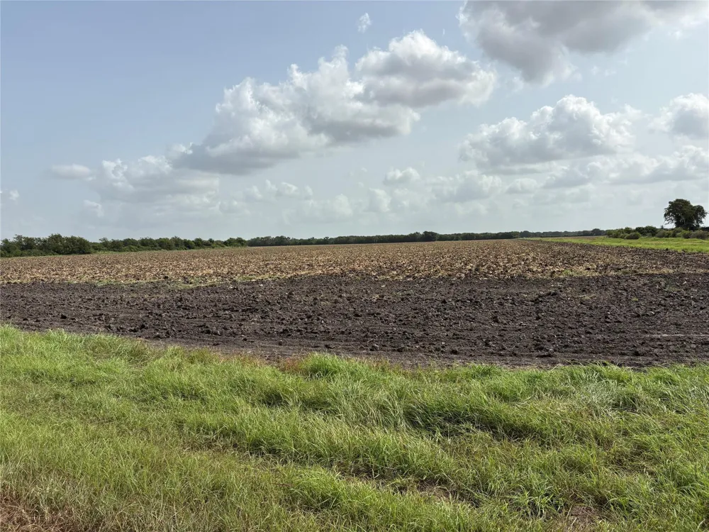 County Road 226 Ganado, TX 77962