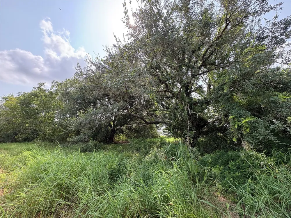 County Road 226 Ganado, TX 77962