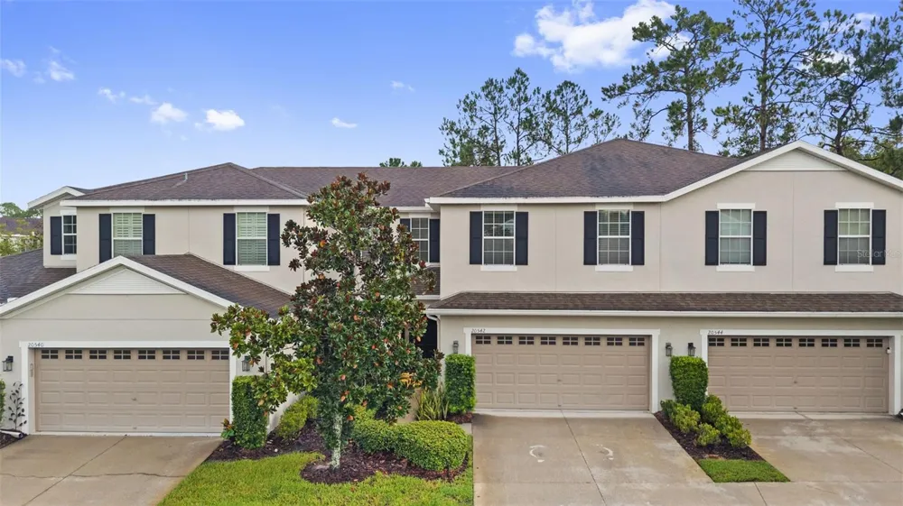 20542 GRAND VISTA LANE Tampa, FL 33647