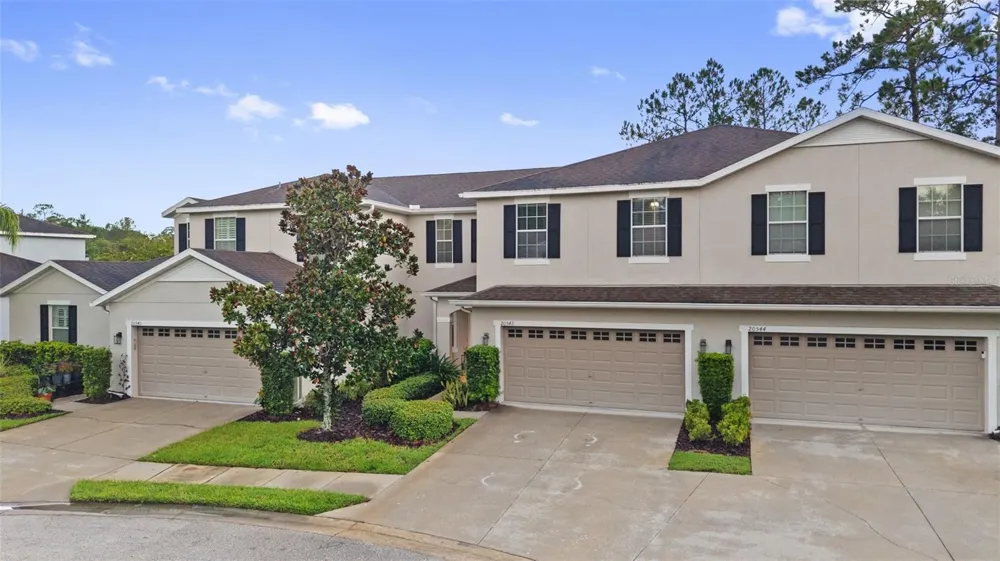 20542 GRAND VISTA LANE Tampa, FL 33647
