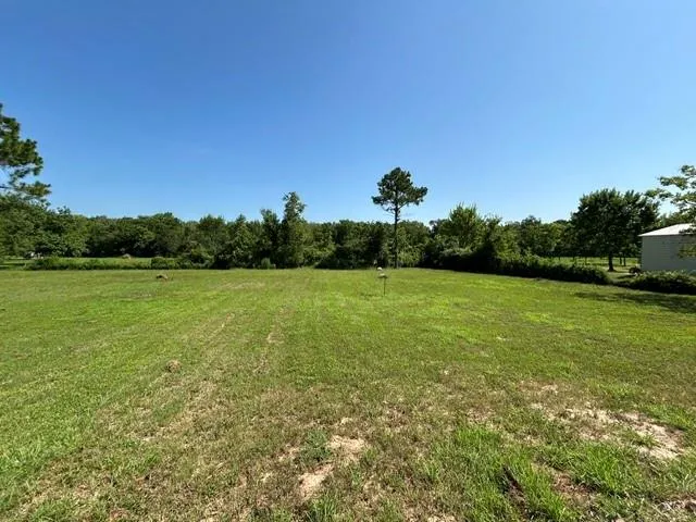101 Smilie Crossing Angleton, TX 77515