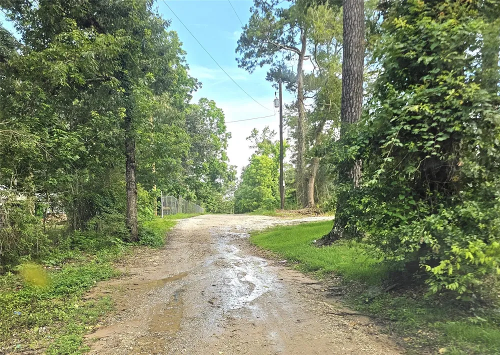 45 Rene Dayton, TX 77535