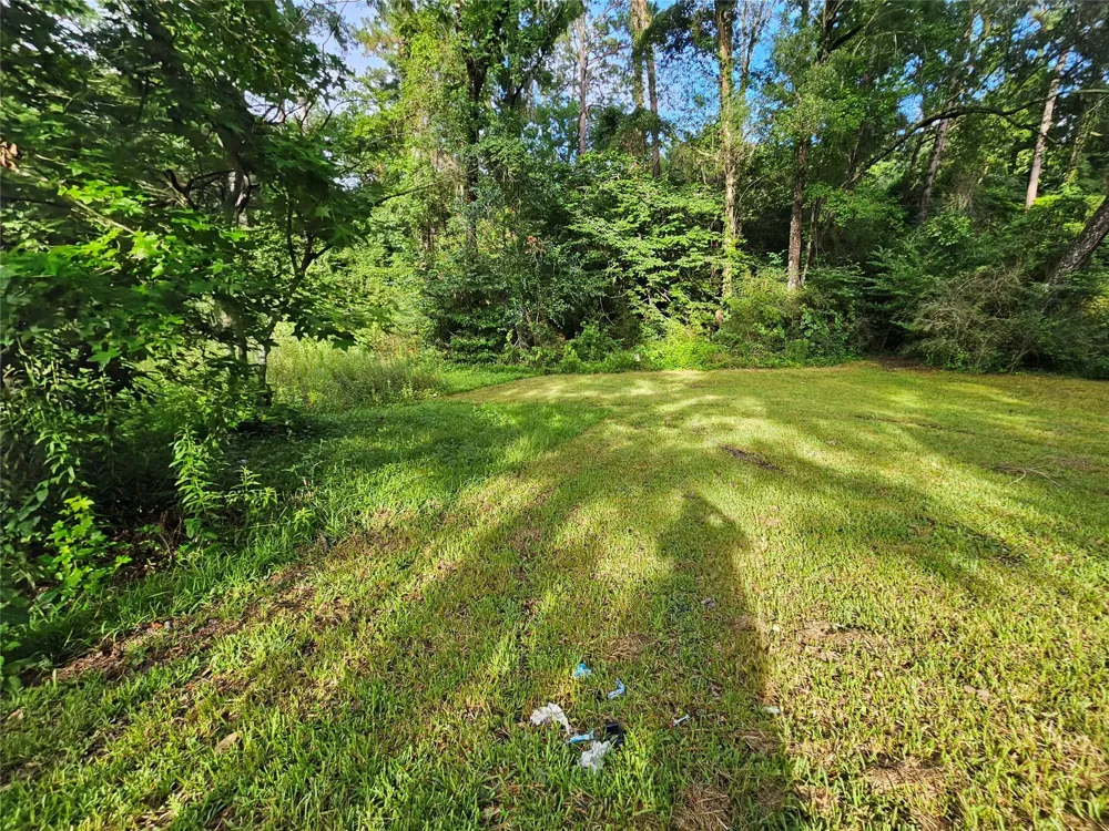 45 Rene Dayton, TX 77535