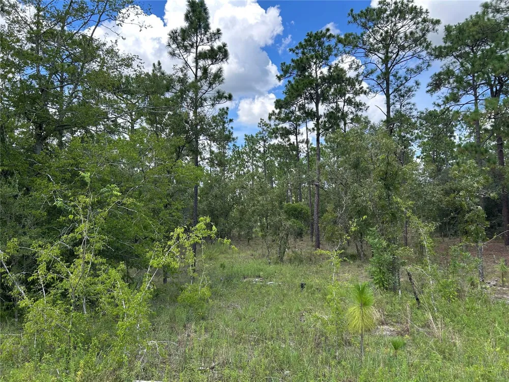 TBD SE 26TH STREET Morriston, FL 32668