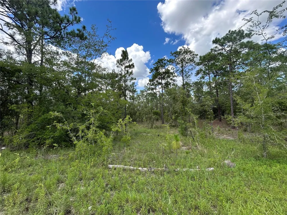 TBD SE 26TH STREET Morriston, FL 32668
