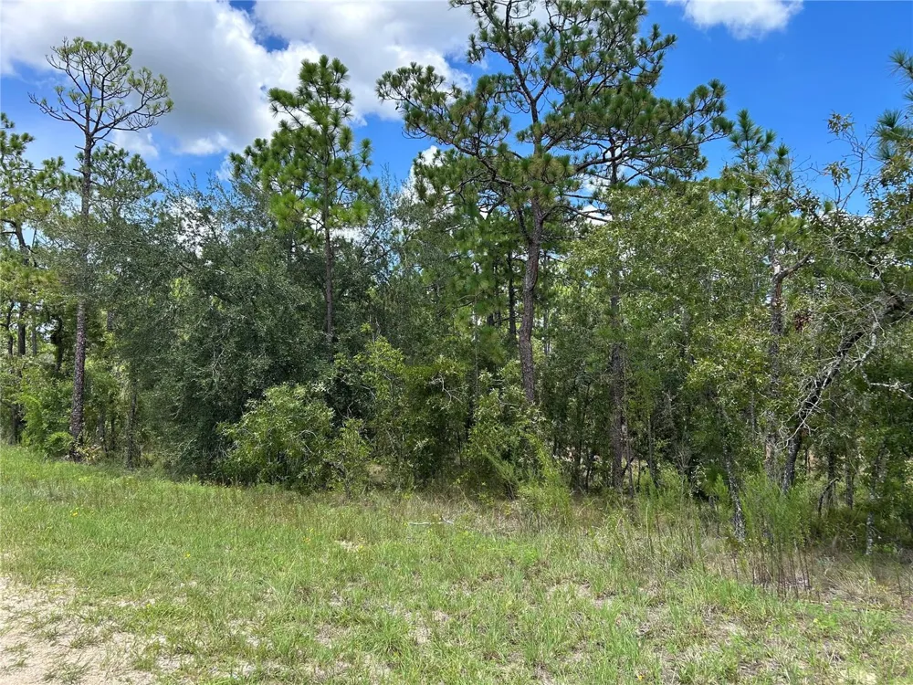TBD SE 26TH STREET Morriston, FL 32668