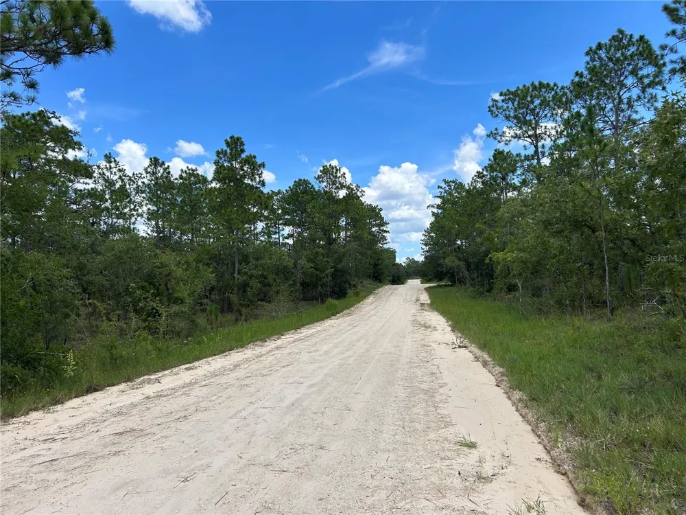 TBD SE 26TH STREET Morriston, FL 32668