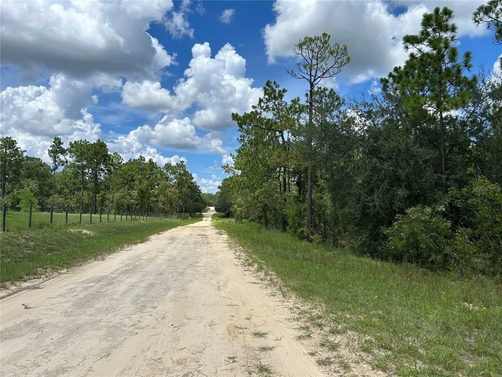 TBD SE 26TH STREET Morriston, FL 32668