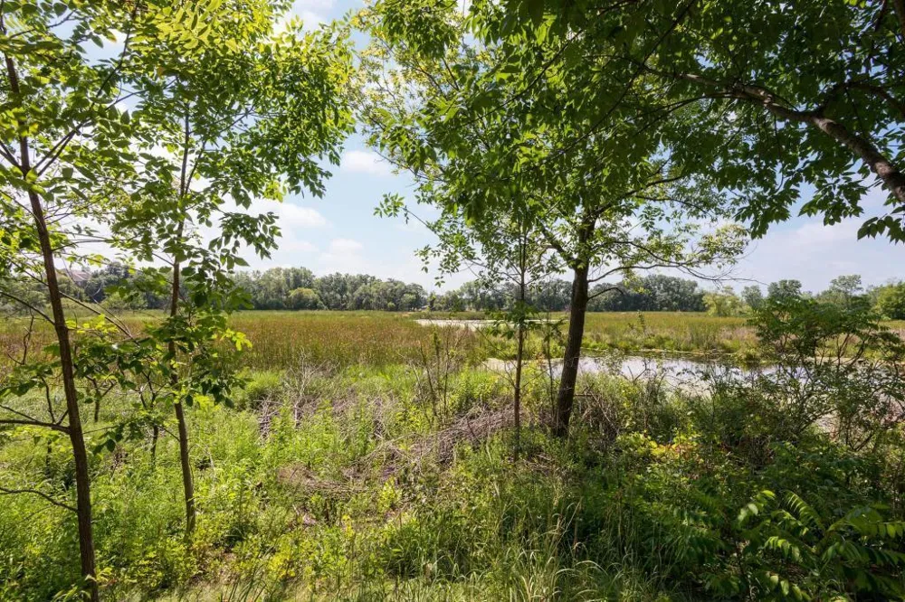 408 Parkers Lake Road #206 Wayzata, MN 55391