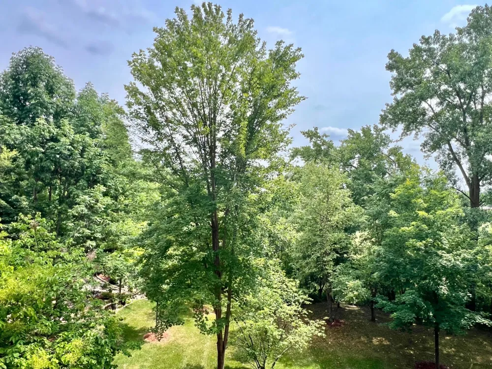 408 Parkers Lake Road #206 Wayzata, MN 55391
