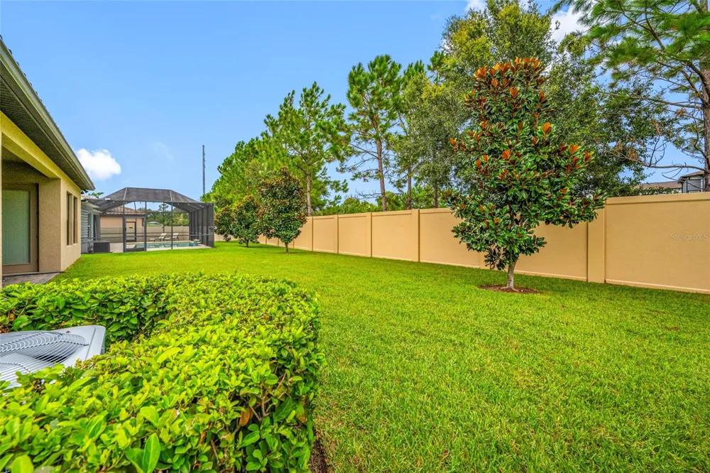 18308 LEAFMORE STREET Lutz, FL 33548