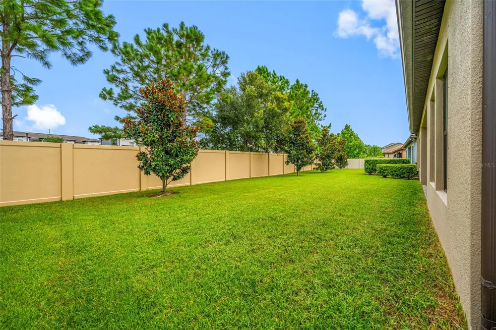 18308 LEAFMORE STREET Lutz, FL 33548