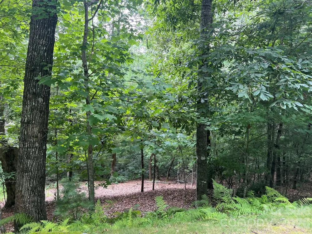 211 Tom Fazio Trace #342 Hendersonville, NC 28739