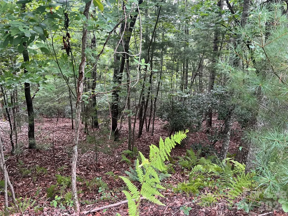 211 Tom Fazio Trace #342 Hendersonville, NC 28739
