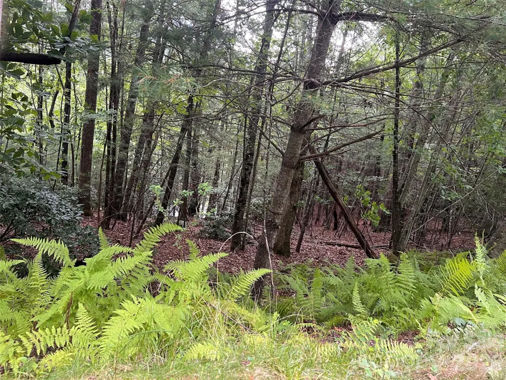 211 Tom Fazio Trace #342 Hendersonville, NC 28739