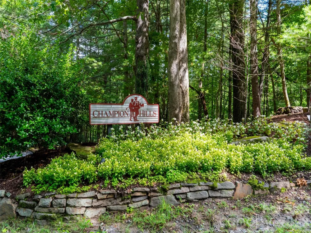211 Tom Fazio Trace #342 Hendersonville, NC 28739