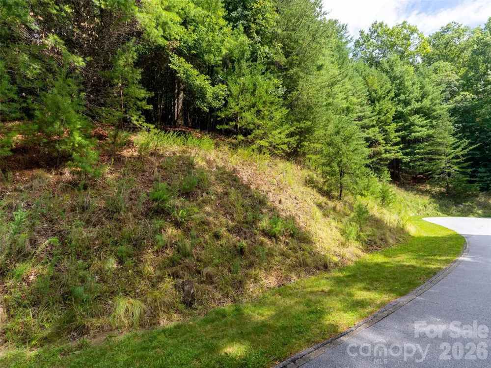 211 Tom Fazio Trace #342 Hendersonville, NC 28739