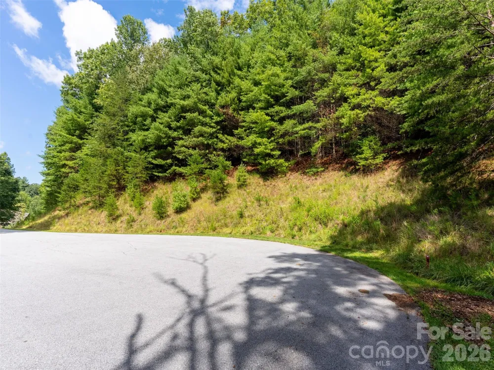 211 Tom Fazio Trace #342 Hendersonville, NC 28739
