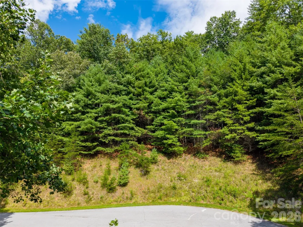 211 Tom Fazio Trace #342 Hendersonville, NC 28739