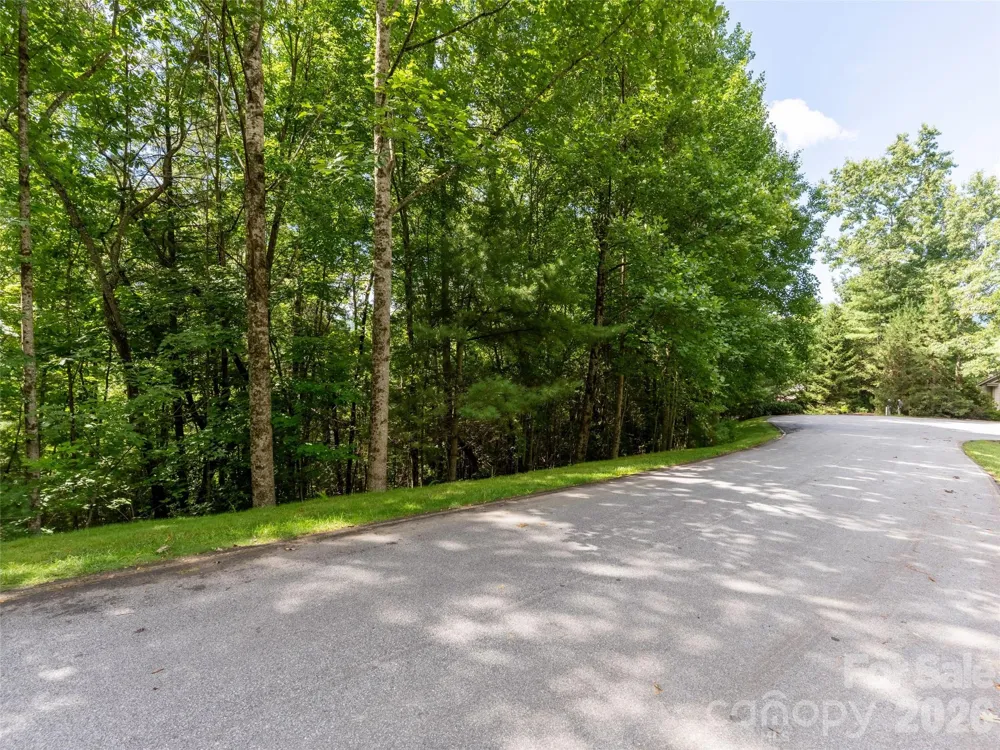 211 Tom Fazio Trace #342 Hendersonville, NC 28739