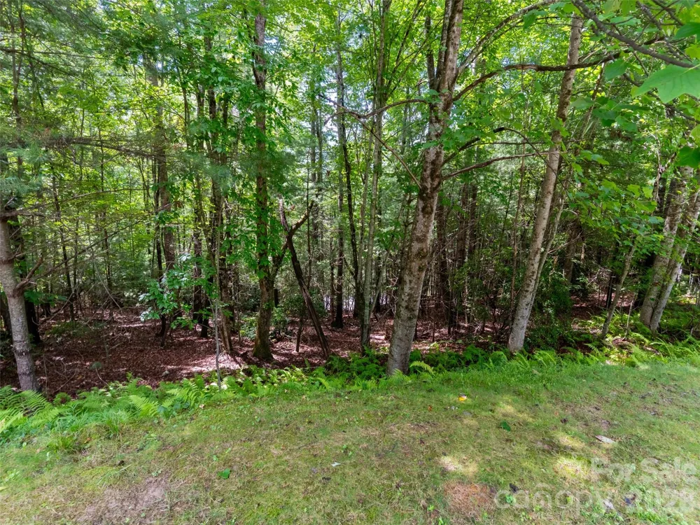 211 Tom Fazio Trace #342 Hendersonville, NC 28739