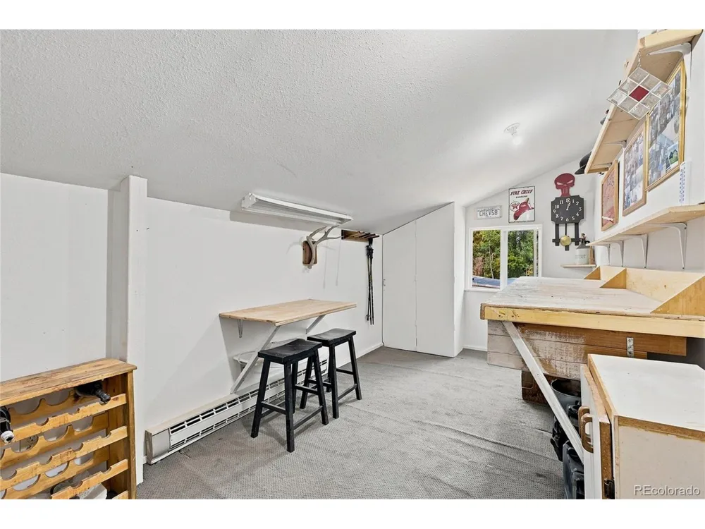 9228 Black Mountain Drive Conifer, CO 80433