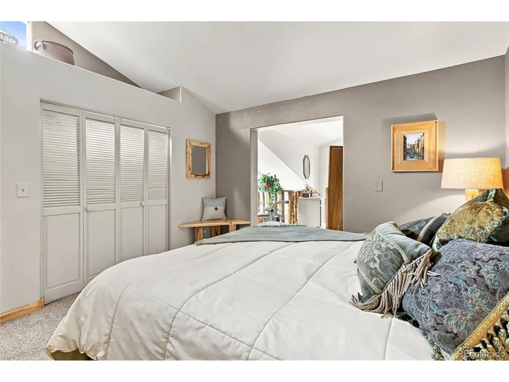 9228 Black Mountain Drive Conifer, CO 80433