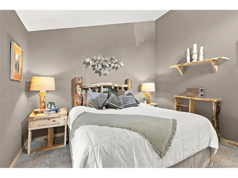 9228 Black Mountain Drive Conifer, CO 80433
