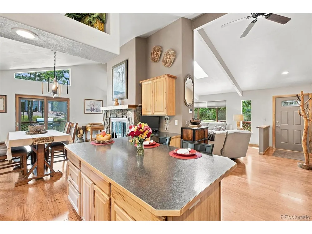 9228 Black Mountain Drive Conifer, CO 80433
