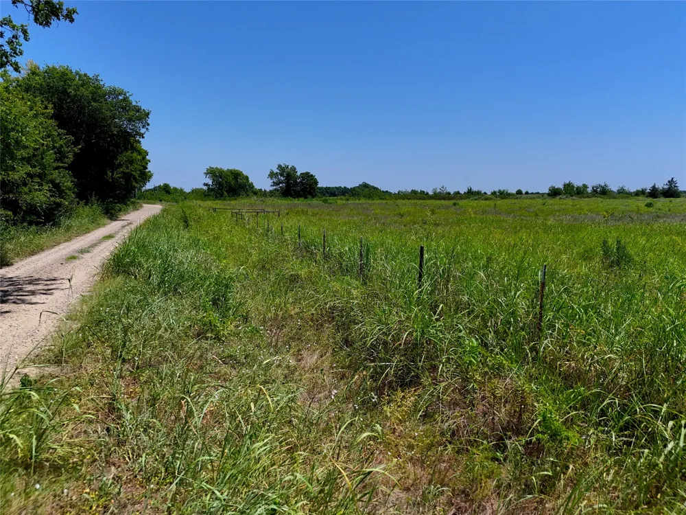 18 S Collegiate Paris, TX 75462