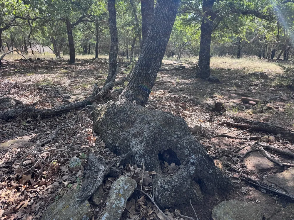 Glenhollow Drive Gordon, TX 76453